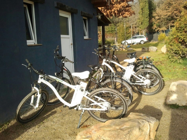  Biciclette elettriche 